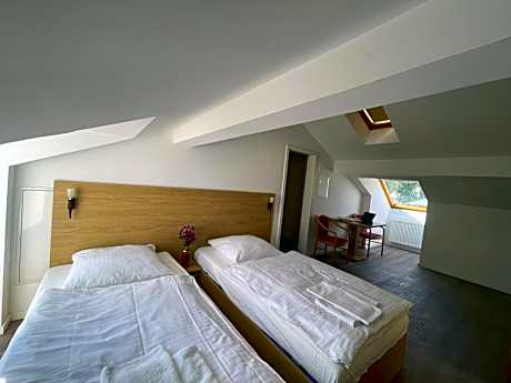 Large Double or Twin Room