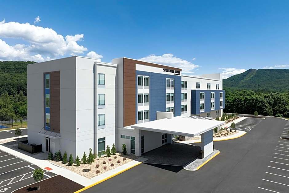 SpringHill Suites by Marriott Roanoke North