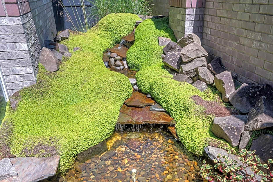 Lincoln Sands Oceanfront Resort, an Ascend Collection Hotel