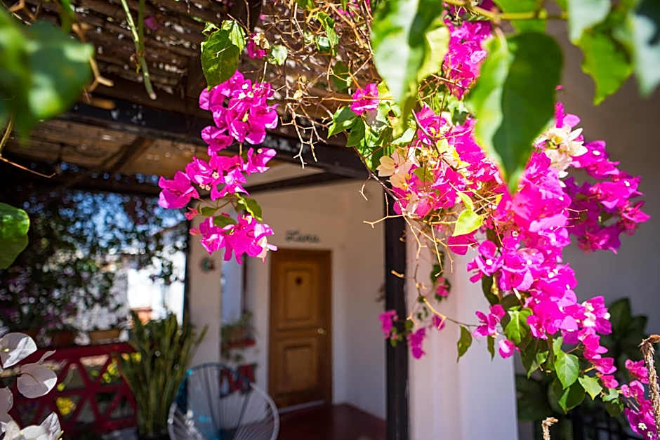 El Diablo y la Sandia B&B