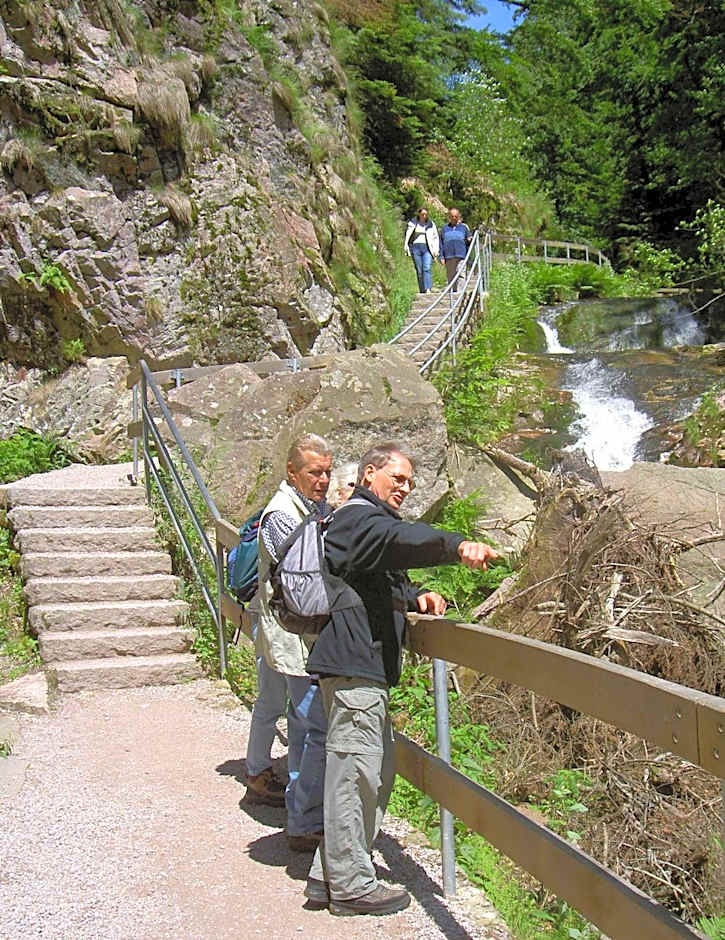 Flair Hotel Adlerbad