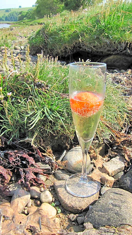 Loch Ness Lodge Hotel