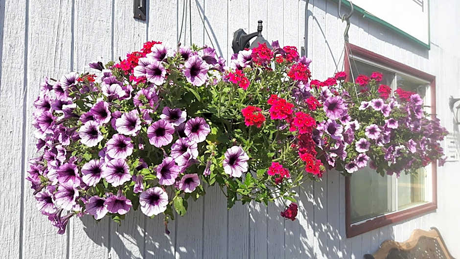 Fair Isle Motel & The Nest