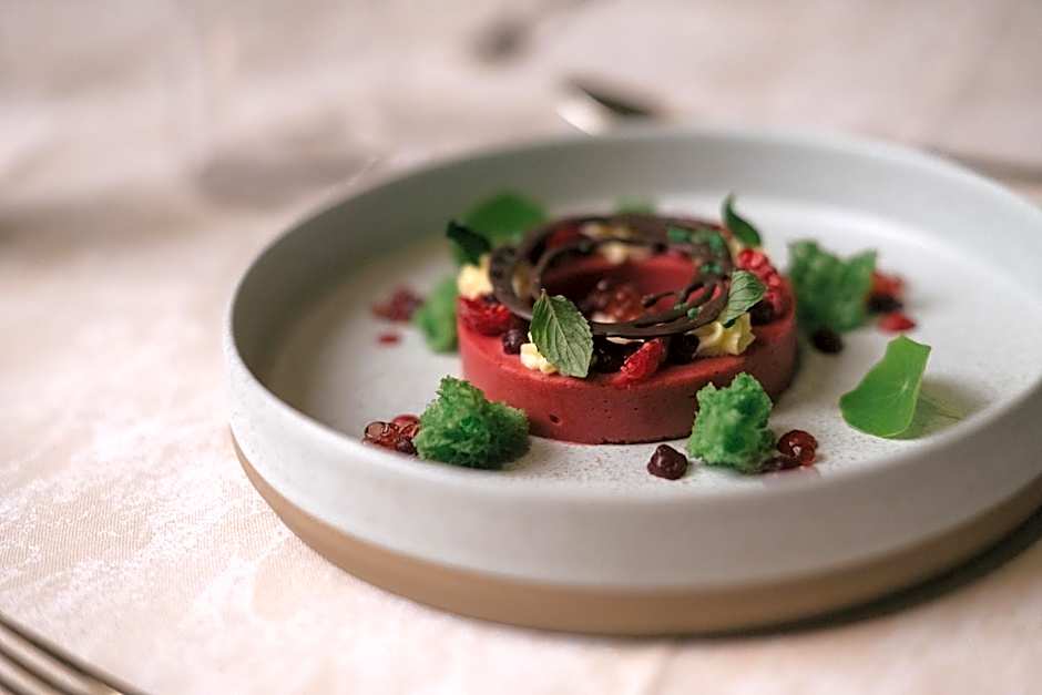 Gourmet & Wine Hotel Austria - 4 Sterne superior - Ski In Ski Out