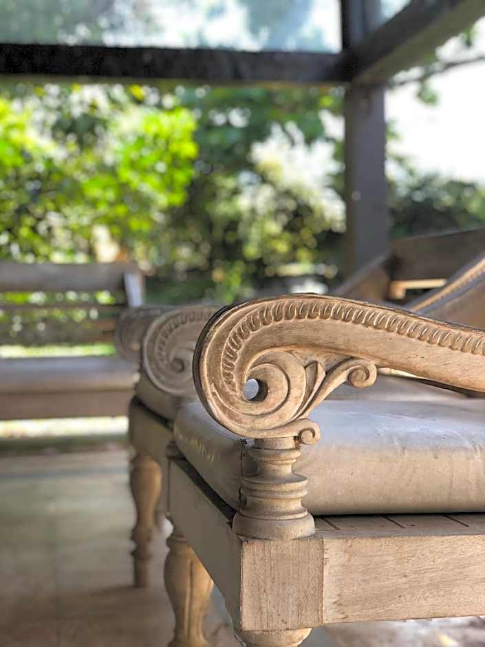 Peixe Crew Manguinhos