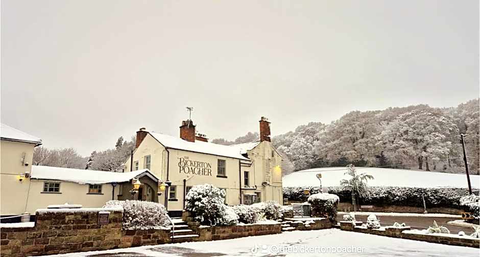 The Bickerton Poacher