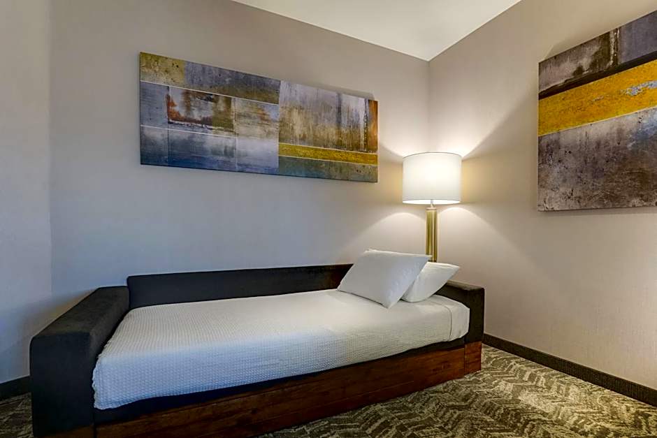 SpringHill Suites by Marriott Cheraw