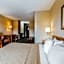 Quality Inn & Suites Montrose - Black Canyon Area