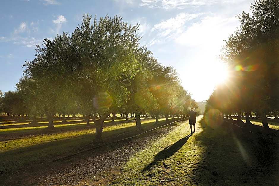 Adina Vineyard Accommodation