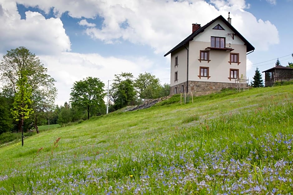 Swoboda na szczycie góry