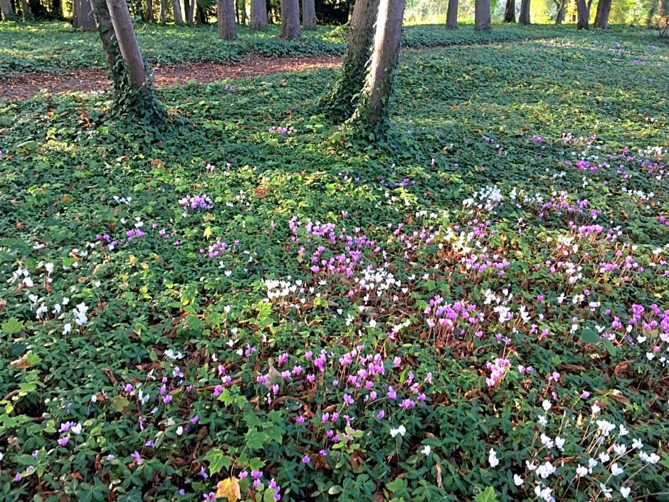 Château de Saint-Agoulin