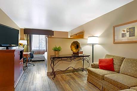 SUITE-1 QUEEN BED,NSMK,LIVING ROOM,HIGH SPEED,MICR,REFRIG,FULL BREAKFAST