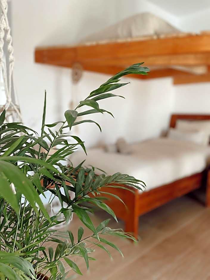 Surf & Yoga Retreats Fuerteventura