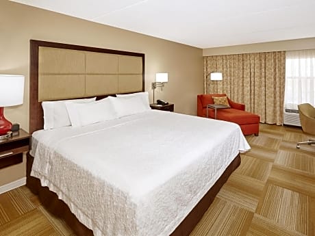 1 King Mobility Access Tub Studio Nosmok