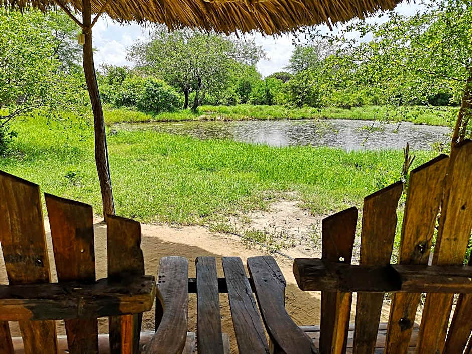 Africa Safari Selous Nyerere national park