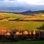 RELAIS VAL D'ORCIA