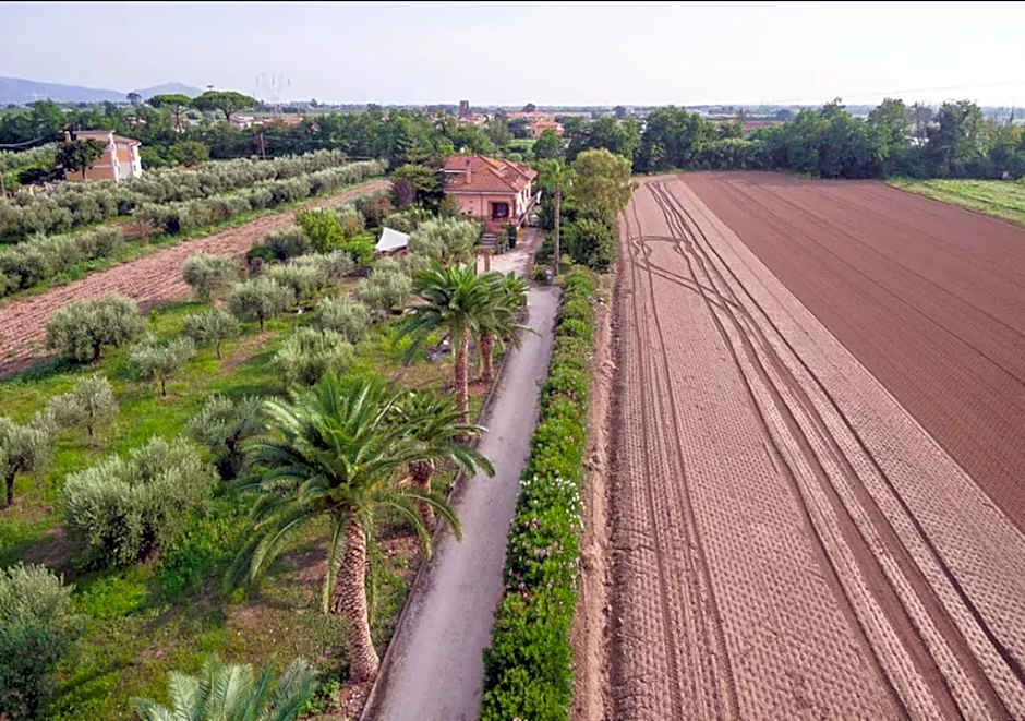 Villa Rosa Lifestyle B&B