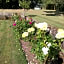 South Craighall B&B