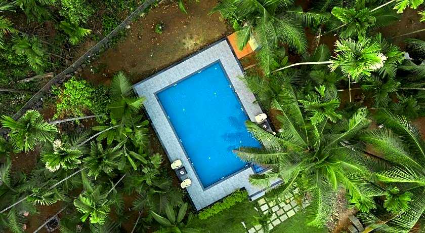 The Enchanted Nest By Privy Stays