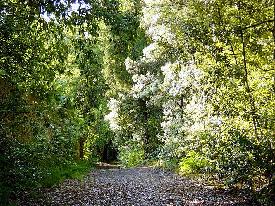 Castello di Cafaggio