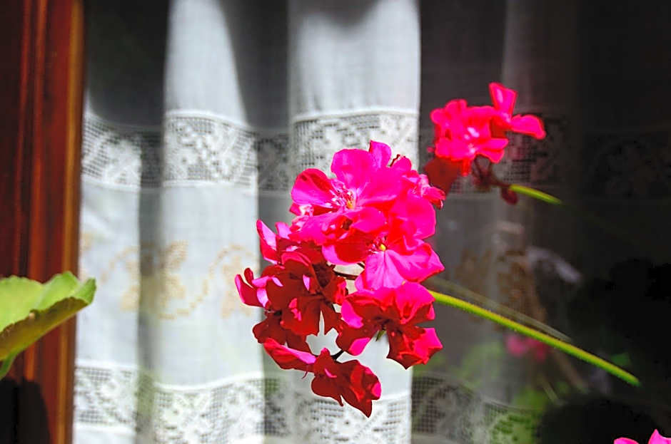 Caserón De La Fuente