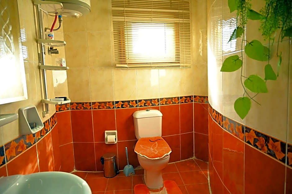 Fayoum Hotel
