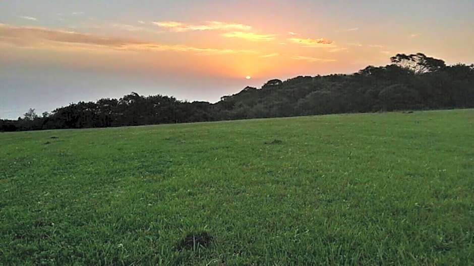 Misty Mountain Reserve