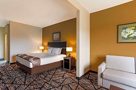 1 King Bed, Suite, Nonsmoking