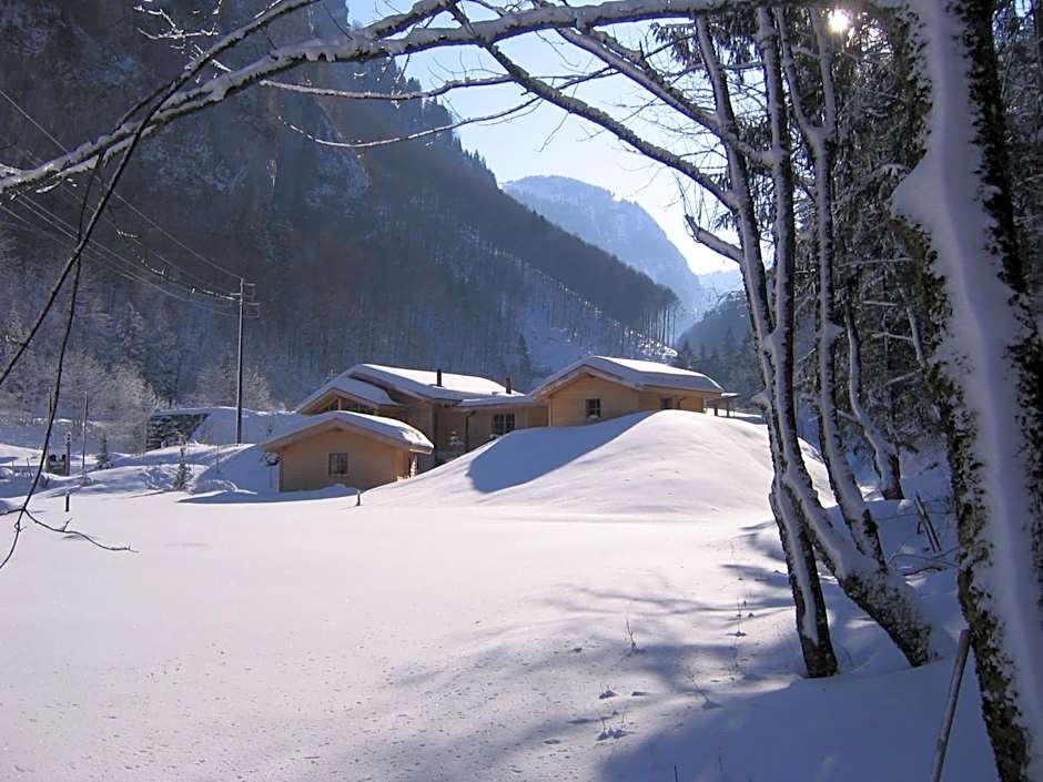 Hüttenhotel Husky Lodge