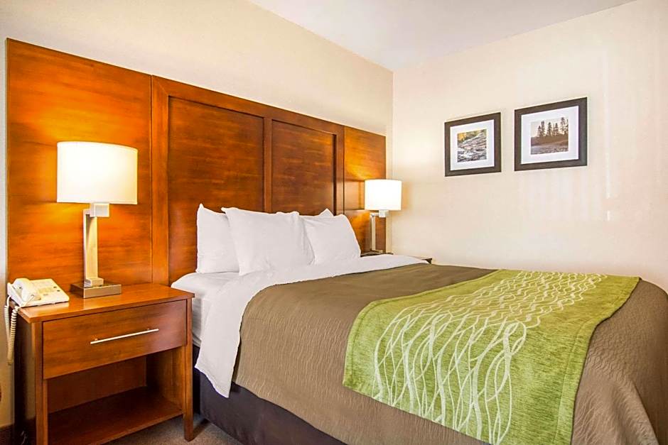 Comfort Inn And Suites