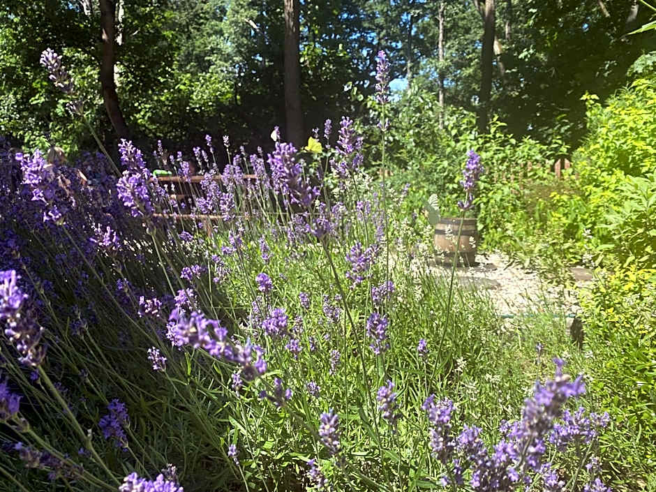 Aulichówka - Dom Wakacyjny i Squash