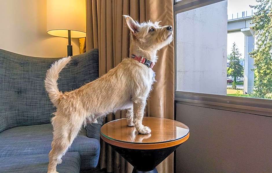 Hotel 116, a Coast Hotel