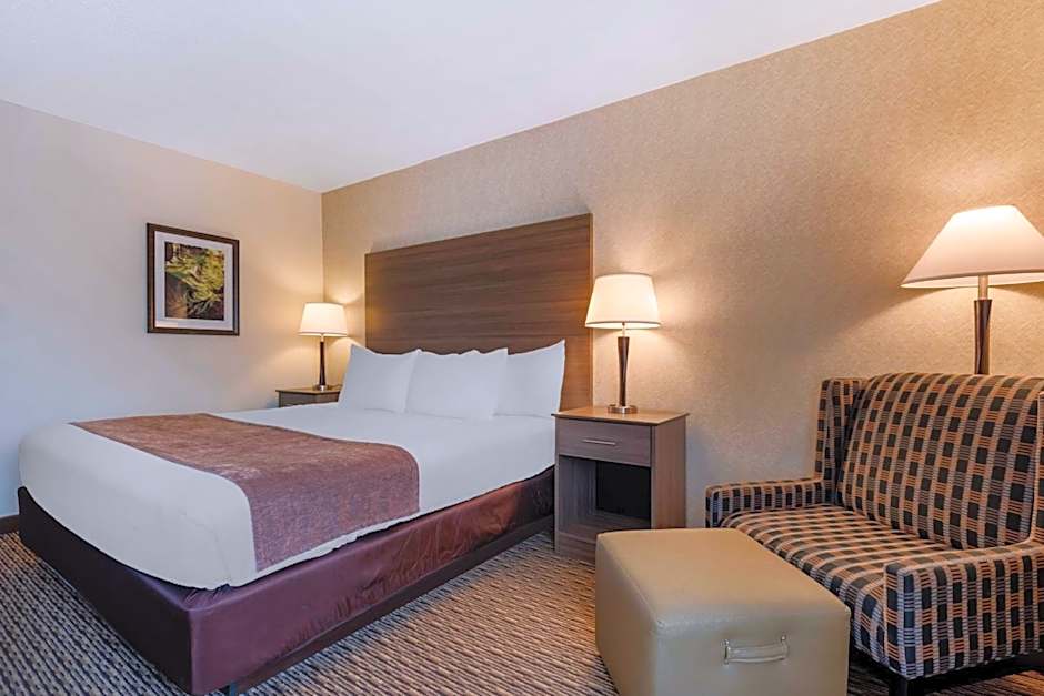 Photo 1 of 4 of 1 King Bed, Accessible, Bathtub, Pet-Friendly
