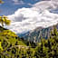 Alpin Chalets Oberjoch