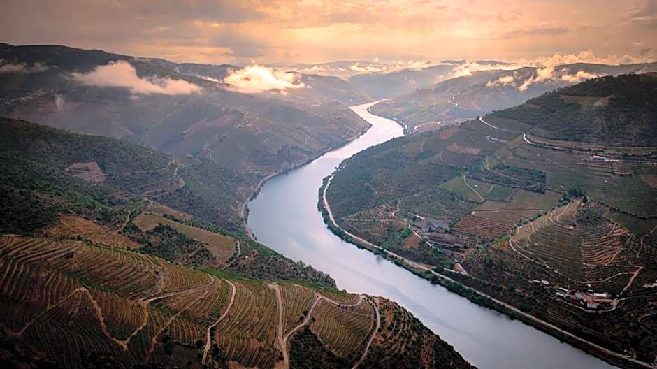 Hotel Folgosa Douro
