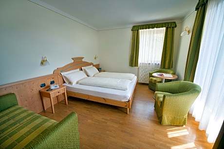 Double or Twin Room with Mountain View