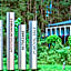 Pusu takas