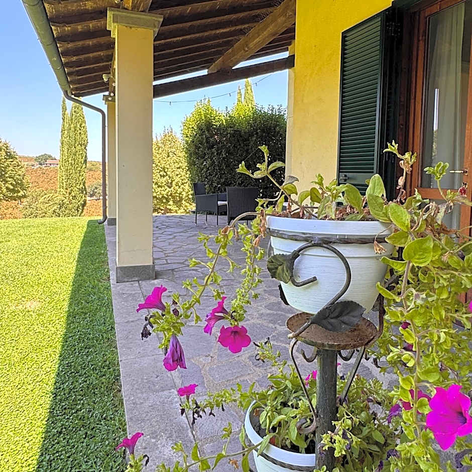 Oasi Del Verde
