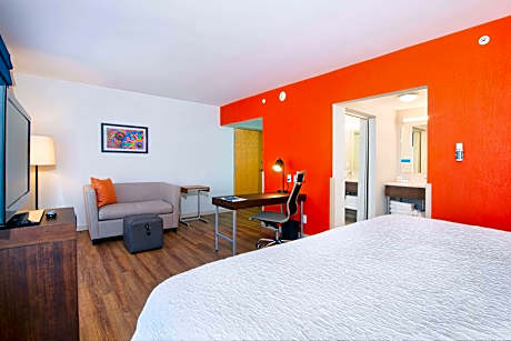 Suite (1 King Bed and 1 Double Sofa Bed)