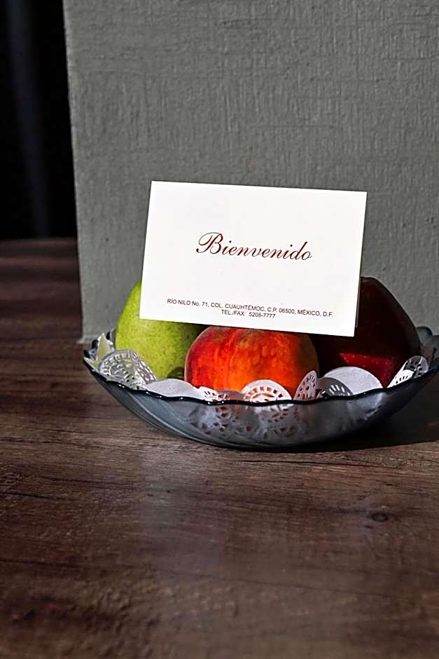 Hotel Park Nilo Reforma