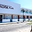Bivalvia Beach Plus