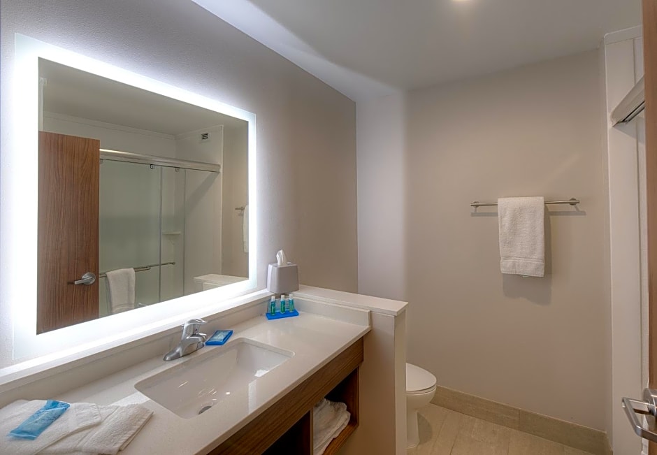Holiday Inn Express & Suites - Fort Mill By IHG