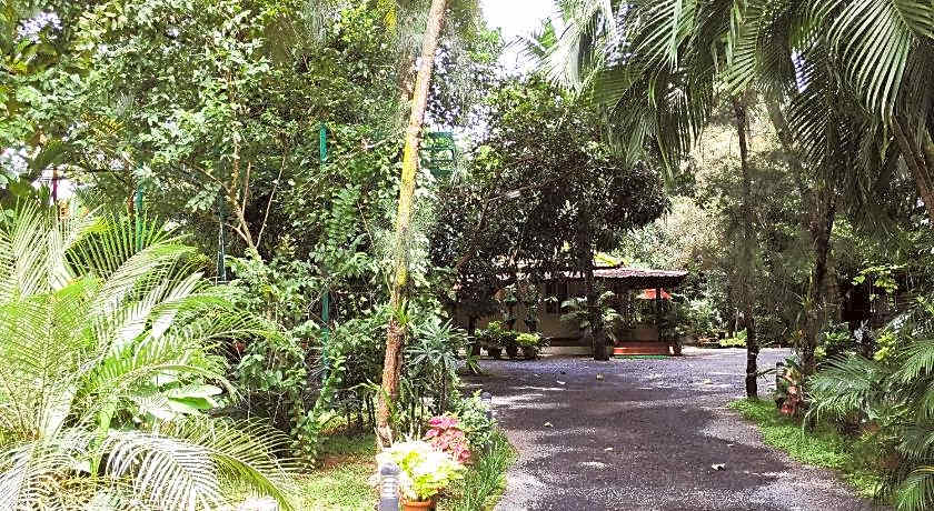 Palmgrove service villa