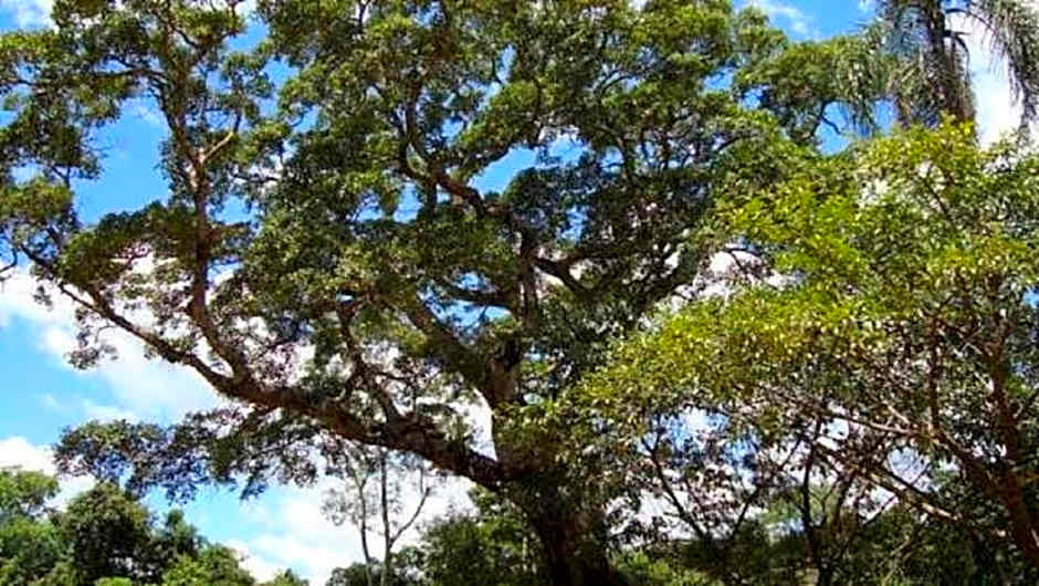 Pousada Muro de Pedra