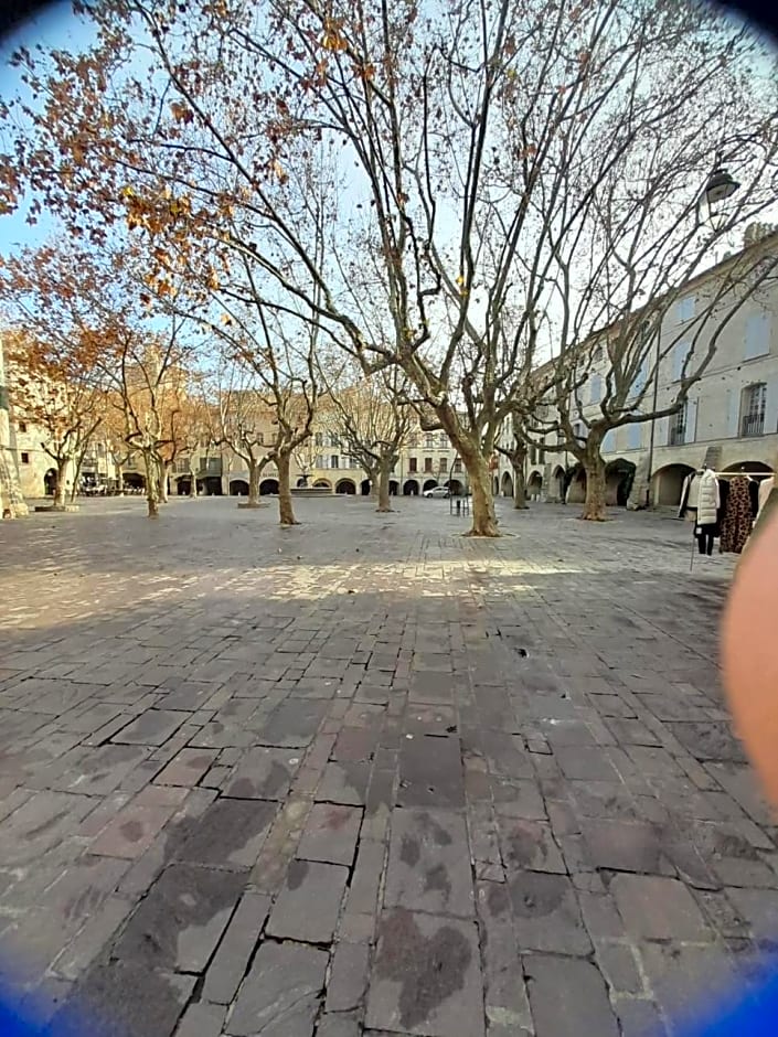 Petit cocon en plein centre historique d'Uzès - Place aux herbes en zone piétonnière