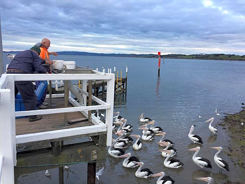 Pelicans Motel San Remo