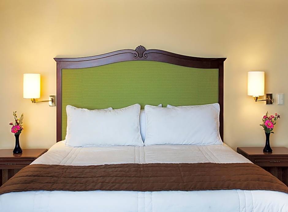 Hotel Francia Aguascalientes