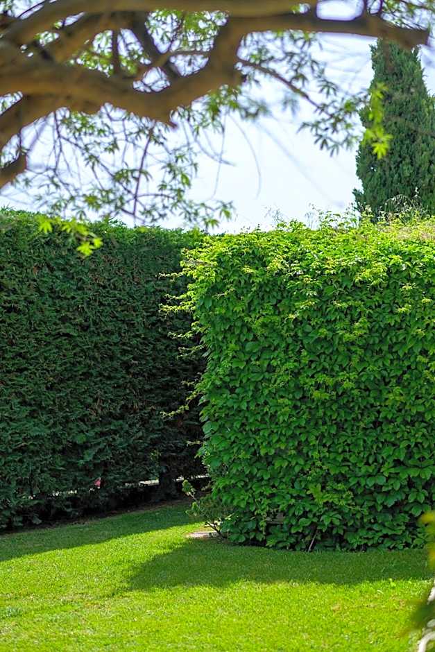 Oikies Small Elegant Houses