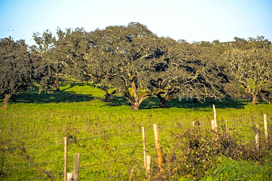 Arrifana Destination Suites