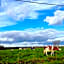 Hotel Ter Polders